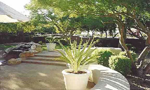 photo:Mesquite Ct Patio, Back Yard